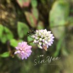 IMG_2058.JPG